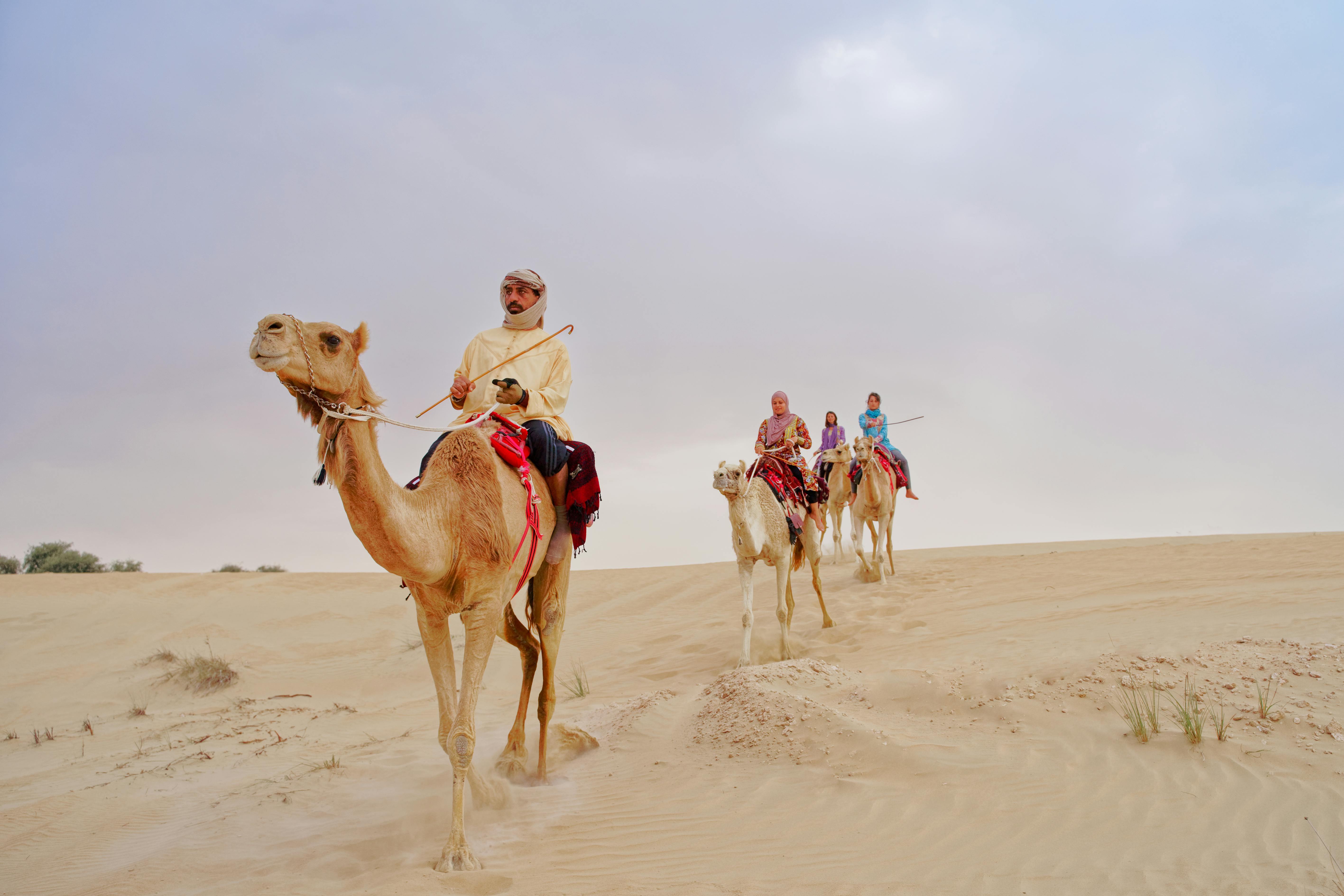 رحلة في الصحراء