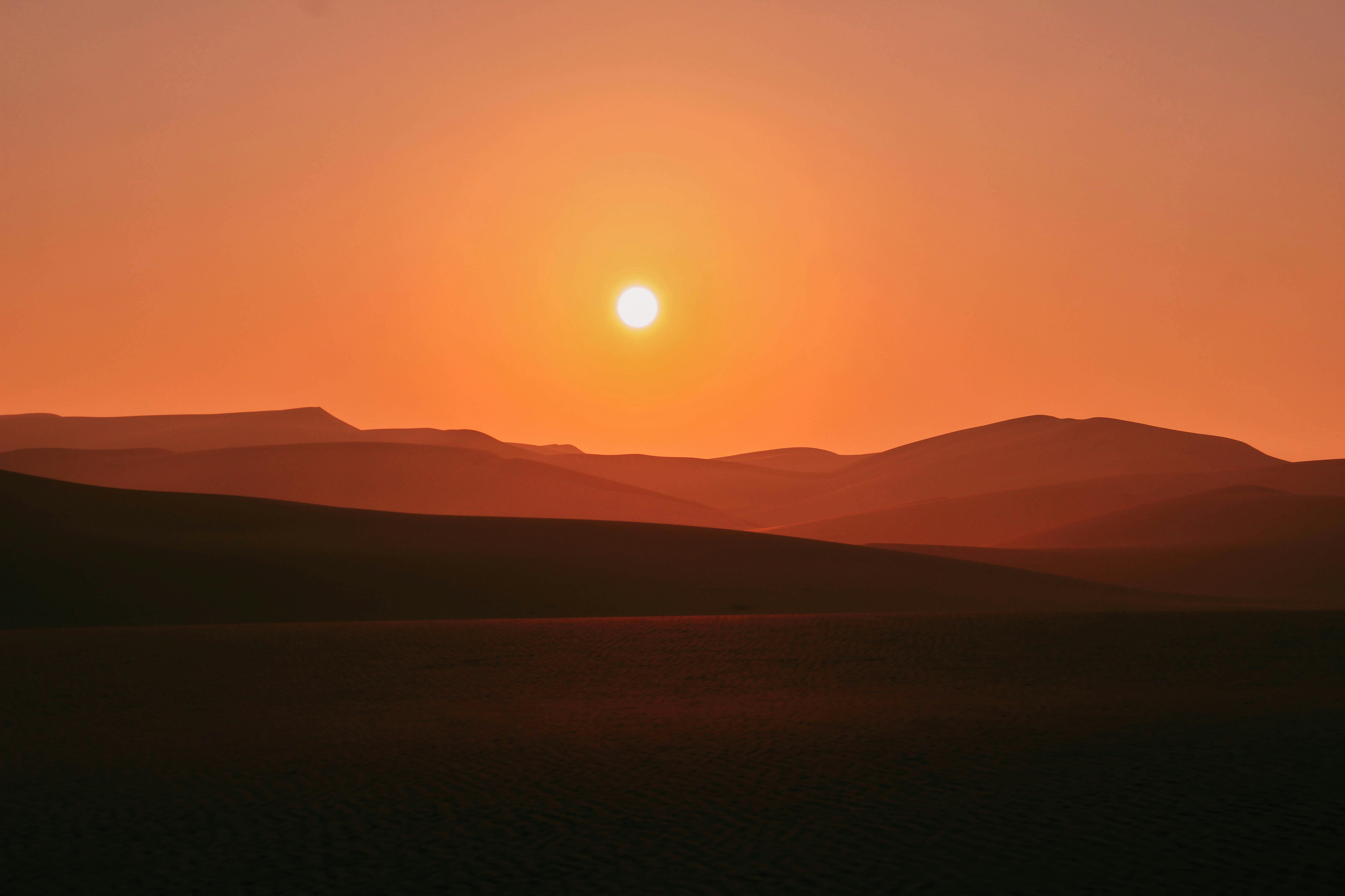 رحلة النماذج